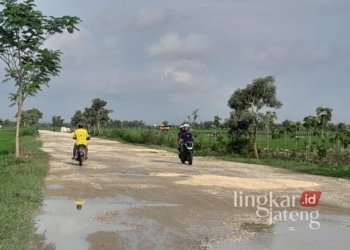 Jalan Baru yang akan dinamakan Jalan Pramoedya Ananta Toer di Kabupaten Blora. (Eko Wicaksono/Lingkarjateng.id)