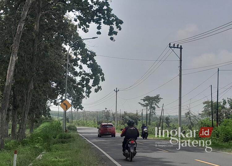 Lahan Perhutani di sekitar jalan nasional yang melintasi Kabupaten Blora yang memiliki potensi dibangun kawasan industri. (Eko Wicaksono/Lingkarjateng.id)