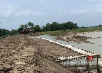 Sejumlah alat berat masih ditempatkan untuk merapikan tanggul Sungai Tuntang di wilayah Kecamatan Kebonagung, Kabupaten Demak, pada Senin, 10 Februari 2025. (M. Burhanuddin Aslam/Lingkarjateng.id)