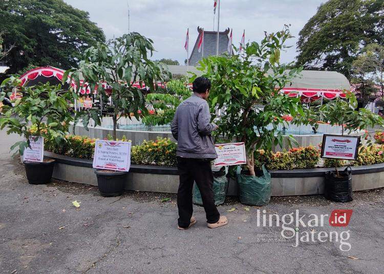 Anggaran Dipangkas, Sertifikasi Tanah Gratis di Blora Tahun Ini Cuma Sasar 5 Desa  Pohon yang dikirim oleh sejumlah OPD Pemkab Grobogan sebagai ucapan selamat atas pelantikan Setyo Hadi dan Sugeng Prasetyo di Halaman Pendopo Kabupaten Grobogan, Kamis, 20 Februari 2025. (Ahmad Abror/Lingkarjateng.id)