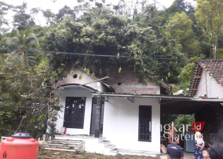 Pohon Petai Setinggi 17 Meter Tumbang, Timpa Rumah di Desa Tempur Jepara 25 Kondisi rumah warga di Dukuh Petung RT 02 RW 02, Desa Tempur, Kecamatan Keling, Kabupaten Jepara yang tertimpa pohon tumbang akibat angin kencang, pada Rabu, 5 Februari 2025. (Tomi Budianto/Lingkarjateng.id)