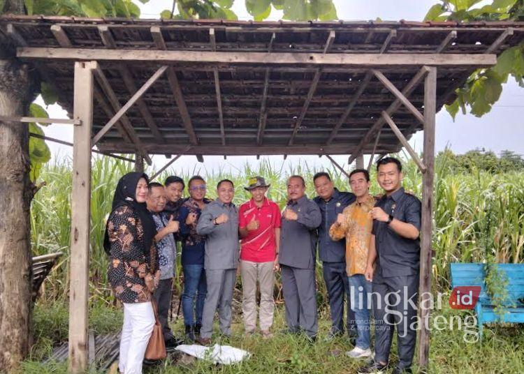 Hasil Sidak PG Trangkil, Komisi B DPRD Pati Minta Penyerapan Tebu Lokal Dioptimalkan 25 Komisi B Dewan Perwakilan Rakyat Daerah (DPRD) Kabupaten Pati didampingi PG Trangkil melihat kondisi lahan pertanian tebu di Trangkil, Jumat, 7 Februari 2025. (Setyo Nugroho/Lingkarjateng.id)
