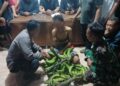 Pelaku pencurian pisang di Desa Gunungsari, Kecamatan Tlogowungu, Kabupaten Pati diamankan warga di Kantor Kepala Desa pada Senin malam, 17 Februari 2025. (Dok. for Lingkarjateng.id)