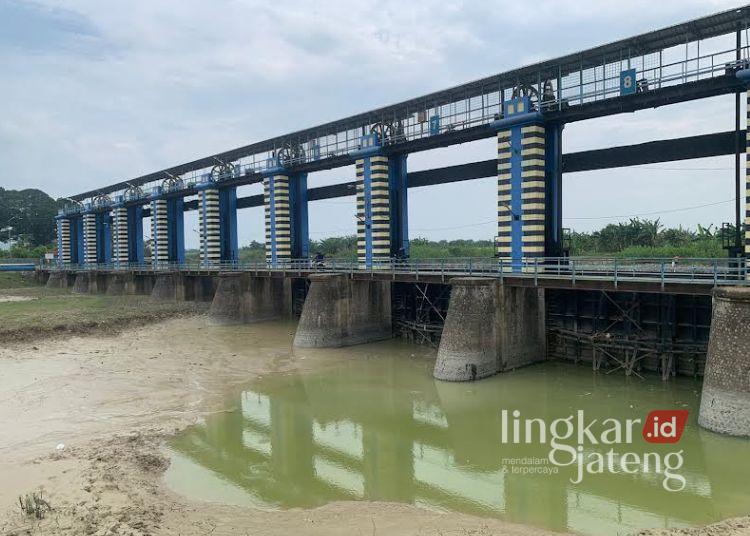 Potret Bendung Wilalung yang juga menjadi penghubung Kabupaten Kudus dengan Demak. (M Burhanuddin Aslam/Lingkarjateng.id)