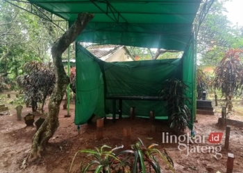 Makam Darso, warga Kampung Gilisari, Kelurahan Purwosari, Kecamatan Mijen, Kota Semarang, yang diduga menjadi korban pengeroyokan oleh enam oknum anggota Polresta Yogyakarta, Minggu, 12 Januari 2025. (Rizky Syahrul Al-Fath/Lingkarjateng.id)