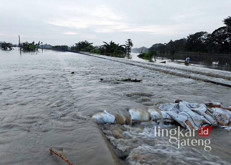 Banjir akibat jebolnya tanggul Sungai Tuntang di Desa Baturagung, Kecamatan Gubug, Kabupaten Grobogan, pada Minggu, 9 Maret 2025. (Ahmad Abror/Lingkarjateng.id)