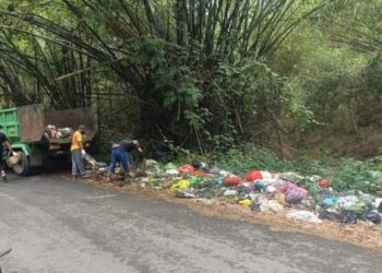 BERSIHKAN SAMPAH:  Petugas kebersihan Dinas Lingkungan Hidup (DLH) Kabupaten Pati membersihkan sampah di pinggir jalan alternatif Pucakwangi menuju Pati kota turut Desa Grogolsari, Kecamatan Pucakwangi, Kabupaten Pati pada Selasa, 11 Maret 2025. (Lingkarjateng.id)