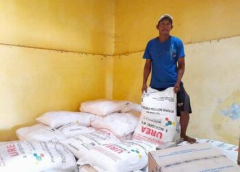 Stok pupuk bersubsidi di salah satu kios resmi di Kota Pekalongan. (Fahri Akbar/Lingkarjateng.id)