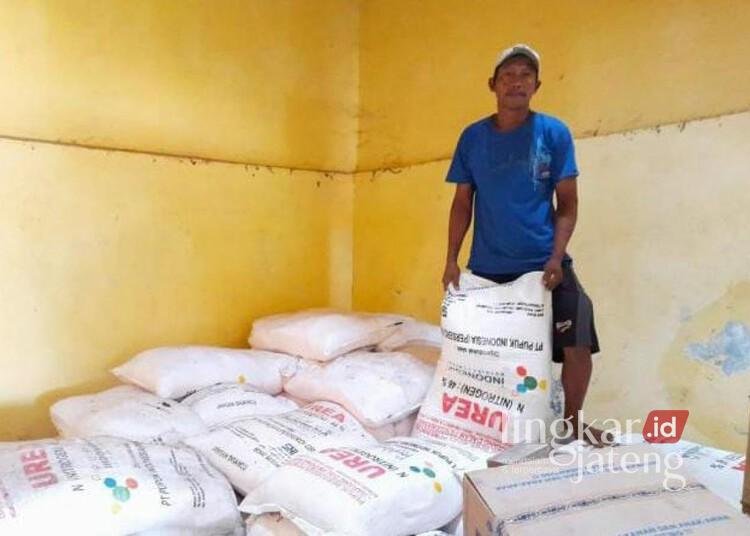 Stok pupuk bersubsidi di salah satu kios resmi di Kota Pekalongan. (Fahri Akbar/Lingkarjateng.id)