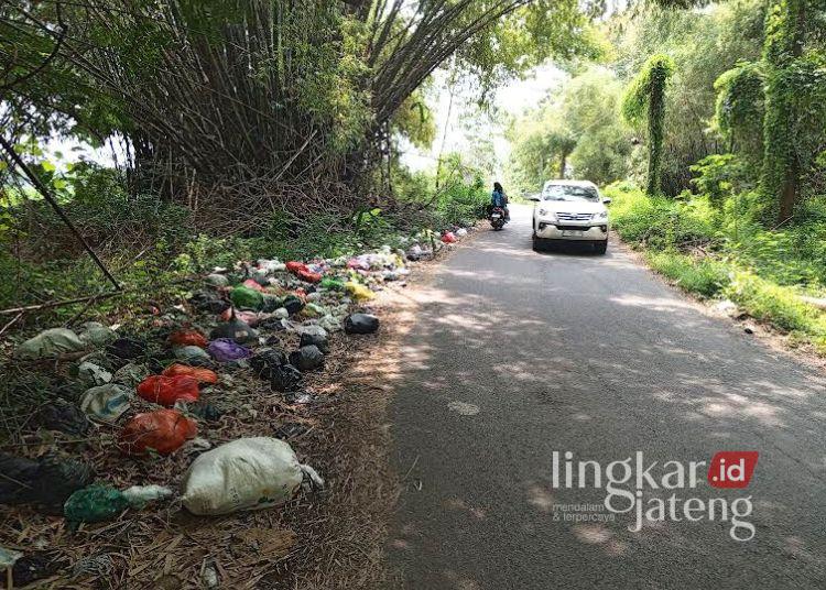 POTRET: Kondisi jalan alternatif Kecamatan Pucakwangi menuju Pati kota turut Desa Grogolsari, Kecamatan Pucakwangi, Kabupaten Pati pada Sabtu, 8 Maret 2025. (Setyo Nugroho/Lingkarjateng.id)