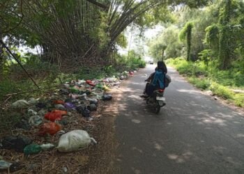 Nampak sampah berserakan di tepi alan alternatif Kecamatan Pucakwangi menuju Pati kota, Sabtu, 11 Maret 2025. (Setyo Nugroho/Lingkarjateng.id)