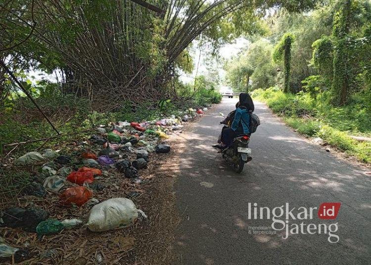 Nampak sampah berserakan di tepi alan alternatif Kecamatan Pucakwangi menuju Pati kota, Sabtu, 11 Maret 2025. (Setyo Nugroho/Lingkarjateng.id)