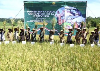 Bupati Semarang, Ngesti Nugraha, saat mengikuti panen raya di Desa Tawang, Kecamatan Susukan, Kabuapten Semarang, baru-baru ini. (Dok. Diskominfo Kab. Semarang/Lingkarjateng.id)