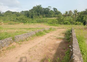 Hamparan lahan di wilayah Sidorejo, Kota Salatiga, yang dulunya merupakan lahan produktif kini terlihat mangkrak, Selasa, 22 April 2025. (Angga Rosa/Lingkarjateng.id)