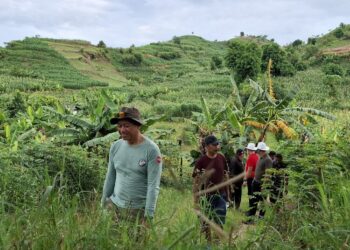 Bupati Kudus, Sam’ani Intakoris, meninjau kawasan Situs Patiayam di Desa Terban, Kecamatan Jekulo, Kabupaten Kudus, pada Sabtu, 5 April 2025. (Mohammad Fahtur Rohman/Lingkarjateng.id)