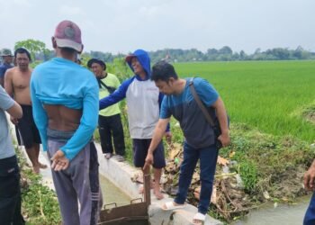 Warga saat mendatangi lokasi penemuan mayat balita di saluran irigasi Dusun Sukorejo, Desa Harjowinangun, Kecamatan Godong, Kabupaten Grobogan, pada Sabtu, 3 Mei 2025. (Ahmad Abror/Lingkarjateng.id)