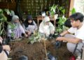 Relawan dari Iqro Club Pekalongan memindahkan bibit aren ke dalam polibag dalam kegiatan perawatan bibit di Dukuh Soko Kembang, Petungkriyono, Kabupaten Pekalongan, Minggu, 11 Mei 2025. (Fahri Akbar/Lingkarjateng.id)