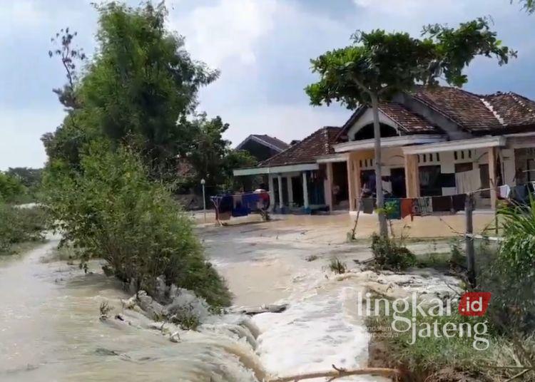 Banjir akibat tanggul jebol yang berada di Desa Karangrejo, Kecamatan Bonang, Kabupaten Demak. (M Burhanuddin Aslam/Lingkarjateng.id)