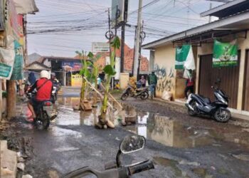 Aksi warga Kelurahan Bligo menanam pohon pisang di tengah jalan rusak Pasar Ngebrak sebagai bentuk protes terhadap lambannya perbaikan gorong-gorong, Jumat, 9 Mei 2025. (Fahri Akbar/Lingkarjateng.id)
