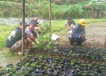 Sejumlah relawan melakukan perawatan bibit tanaman di lahan penangkaran Swara Owa, sebagai bagian dari upaya pemulihan ekosistem pascabencana di Petungkriyono, Kabupaten Pekalongan. (Dok. Pribadi/Lingkarjateng.id)