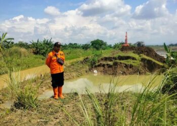 Lokasi tanggul Sungai Rengging di Desa Sukorejo, Kecamatan Tegowanu, Kabupaten Grobogan, Jawa Tengah, yang jebol karena tidak mampu menahan tingginya debit air sungai. (ANTARA/Lingkarjateng.id)