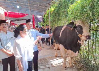 SIMBOLIS: Wali Kota Semarang Agustina Wilujeng Pramestuti menyerahkan sapi kurban kepada panitia di Balai Kota Semarang, Jumat, 6 Juni 2025. (Syahril Muadz/Lingkarjateng.id)