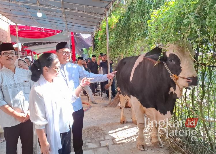 SIMBOLIS: Wali Kota Semarang Agustina Wilujeng Pramestuti menyerahkan sapi kurban kepada panitia di Balai Kota Semarang, Jumat, 6 Juni 2025. (Syahril Muadz/Lingkarjateng.id)