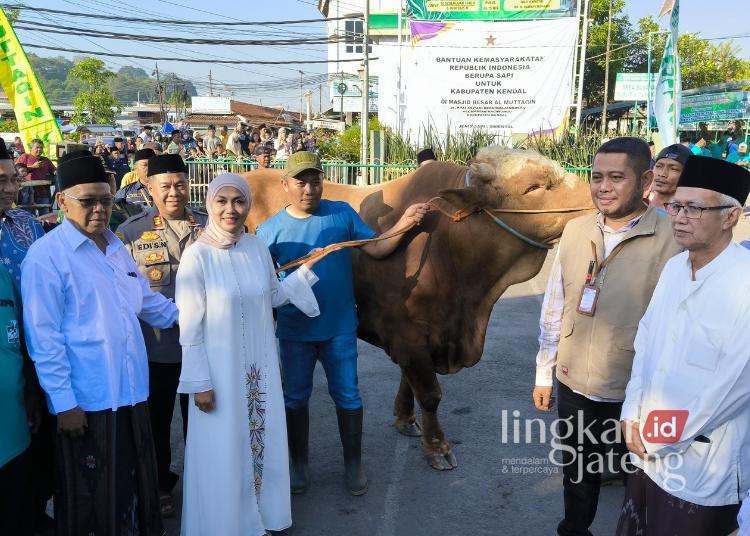 SIMBOLIS: Bupati Kendal, Dyah kartika Permanasari saat menghadiri dan menyerahkan secara simbolis sapi Joni dari Presiden Prabowo Subianto di Masjid Agung. (Arvian Maulana/Lingkarjateng.id) 
