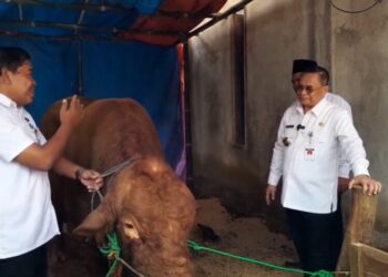 Ini Alasan Bupati Pati Serahkan Sapi Kurban Presiden Prabowo ke Wateshaji 30 Bupati Pati, Sudewo, saat menyerahkan bantuan sapi kurban dari Presiden RI Prabowo Subinto di Desa Wateshaji, Kecamatan Pucakwangi, Kabupaten Pati, pada Rabu, 4 Juni 2025. (Mutia Parasti/Lingkarjateng.id)