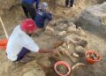 MENGGALI: Warga menggali temuan fosil gajah purba di Kawasan Patiayam Kudus pada Kamis, 12 Juni 2025. (Fahtur Rohman/Lingkarjateng.id)