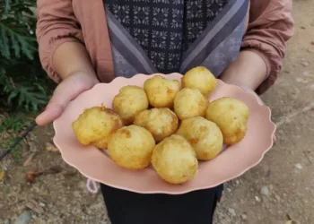 Seporsi getuk nyimut yang menjadi kuliner khas Desa Kajar, Kecamatan Dawe, Kabupaten Kudus. (Nisa Hafizhotus S./Lingkarjateng.id)