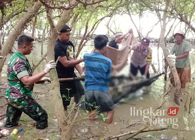 Tim gabungan bersama warga mengevakuasi mayat perempuan di hutan mangrove Desa Keboromo, Kecamatan Tayu, Kabupaten Pati, pada Jumat, 13 Juni 2025. (Dok. Polresta Pati/Lingkarjateng.id)