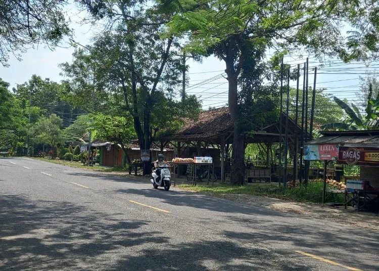 Legen, Minuman Tradisional Khas Rembang yang Menyegarkan 26 legen 1