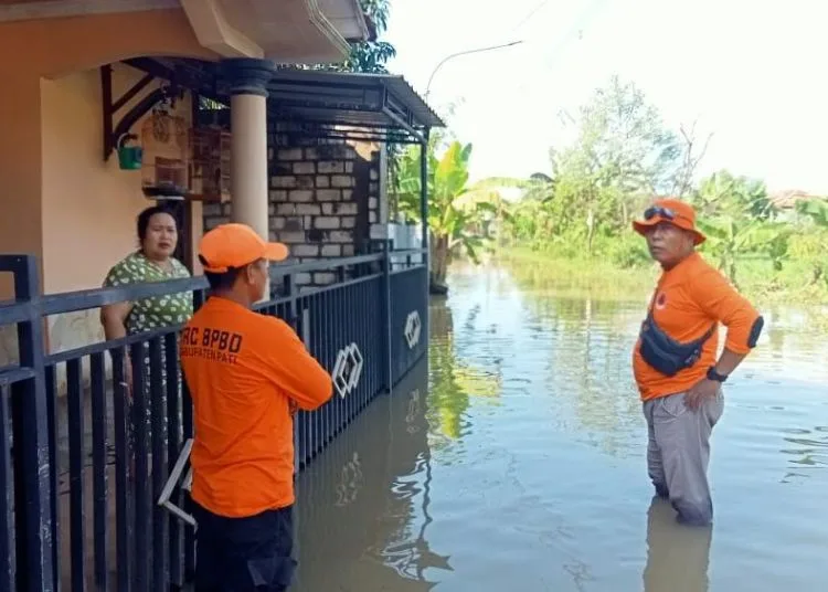Tim Badan Penanggulangan Bencana Daerah (BPBD) Kabupaten Pati meninjau banjir rob di Desa Tunggulsari, Kecamatan Tayu pada Rabu, 18 Juni 2025. (Dok. BPBD Pati)