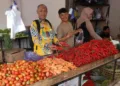 Analis Perdagangan Ahli Muda Disperindag Kabupaten Pekalongan, Heri Purnomo, saat memantau ketersediaan stok dan harga sayuran di salah satu pasar rakyat pada Rabu, 18 Juni 2025. (Fahri Akbar/Lingkarjateng.id)