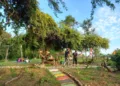 Sejumlah pengunjung menikmati suasana alam di Wana Wisata Watu Layar, Desa Binangun, Kecamatan Lasem, Kabupaten Rembang, pada Sabtu, 21 Juni 2025. (Muhammad Faalih/Lingkarjateng.id)