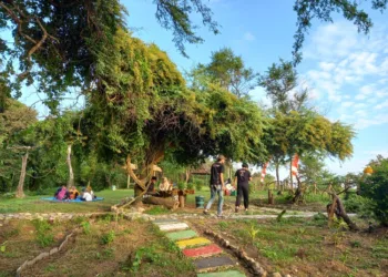 Sejumlah pengunjung menikmati suasana alam di Wana Wisata Watu Layar, Desa Binangun, Kecamatan Lasem, Kabupaten Rembang, pada Sabtu, 21 Juni 2025. (Muhammad Faalih/Lingkarjateng.id)