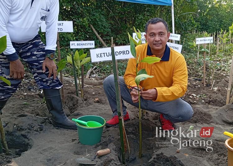 Wakil Ketua (Waka) DPRD Kabupaten Pekalongan, Sumar Rosul, saat ikut menanam mangrove di Pantai Wonokerto pada Kamis, 5 Juni 2025. (Fahri Akbar/Lingkarjateng.id)
