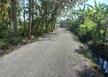 POTRET: perbaikan Jalan Magersari-Waru turut Dukuh Slodran, Desa Waru, Kabupaten Rembang tampak sudah diaspal pada Senin, 7 Juli 2025 pagi. (Muhammad Faalih/Lingkarjateng.id)