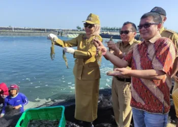 MEMANEN: Bupati Kendal, Dyah Kartika Permanasari didampingi organisasi perangkat daerah terkait terkait meninjau panen udang Dusun Sedang Sikucing Desa Gempolsewu, Kecamatan Rowosari, Senin, 21 Juli 2025. (Diskominfo Kendal/Lingkarjateng.id)