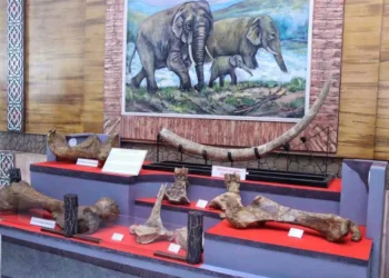 POTRET: Salah satu area Museum Situs Purbakala Patiayam, Kabupaten Kudus. (Nisa Hafizhotus Syarifa/Lingkarjateng.id)