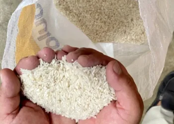 Dispangtan Salatiga Tegaskan Belum Ada Temuan Beras Oplosan 30 Ilustrasi beras. (Antara)