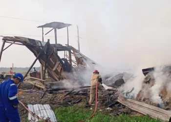 Petugas Damkar saat berjibaku memadamkan sisa api yang melalap kandang ayam di Dukuh Bulakan Desa Pilang, Kecamatan Randublatung, Blora. (Hanafi/Lingkarjateng.id)