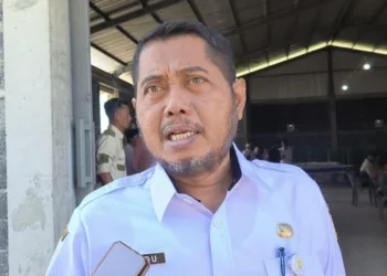 Kepala Dinas Pertanian dan Pangan Kendal, Pandu Rapriat Rogojati. (Arvian Maulana/Lingkarjateng.id)