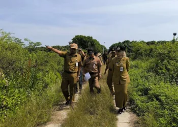 Bupati Kendal Survei Lokasi Baru Sekolah Rakyat, Optimis Sudah Penuhi Syarat 25 Bupati Kendal, Dyah Kartika Permanasari beserta OPD terkait saat melakukan survei untuk perubahan pengajuan lokasi sekolah rakyat, Senin, 14 Juli 2025. (Arvian Maulana/Lingkarjateng.id)