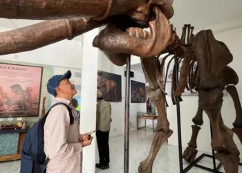 Tampak persiapan Pameran Temporer Cagar Budaya 'Abirama Purbakala Patiayam' di Komplek Museum Situs Purbakala Patiayam, Desa Terban, Kecamatan Jekulo, Kabupaten Kudus yang rencananya digelar pada tanggal 25-27 Juli 2025. (Nisa Hafizhotus S/Lingkarjateng.id)