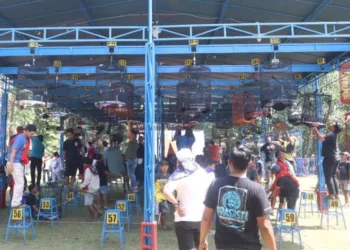 Ratusan Kicau Mania Semarakkan Hari Bhayangkara ke-79 di Pekalongan 31 Suasana kegiatan Festival dan Lomba Burung Berkicau Kapolres Cup Pekalongan 3 di Alun-alun Kajen, pada Minggu, 20 Juli 2025, dalam rangka memperingati Hari Bhayangkara ke-79. (Fahri Akbar/Lingkarjateng.id)
