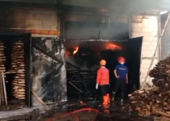 Petugas damkar saat berupaya memadamkan kebakaran area oven pabrik kayu di Desa Pekiringan Alit, Kecamatan Kajen, Kabupaten Pekalongan pada Jumat, 4 Juli 2025. (Fahri Akbar/Lingkarjateng.id)