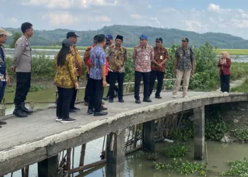 Bupati Kudus, Sam’ani Intakoris, saat 
memantau progres normalisasi Sungai Londo di Desa Wonosoco, Kecamatan Undaan, Kabupaten Kudus, Selasa, 1 Juli 2025. (Mohammad Fahtur Rohman/Lingkarjateng.id)