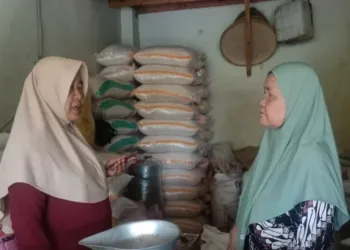Pegawai Dinas Perindustrian, Perdagangan, Koperasi, dan UKM Kabupaten Batang, melakukan pengecekan beras di pasar Batang untuk mencegah peredaran beras oplosan di Batang, Jumat, 18 Juli 2025. (ANTARA/Lingkarjateng.id)